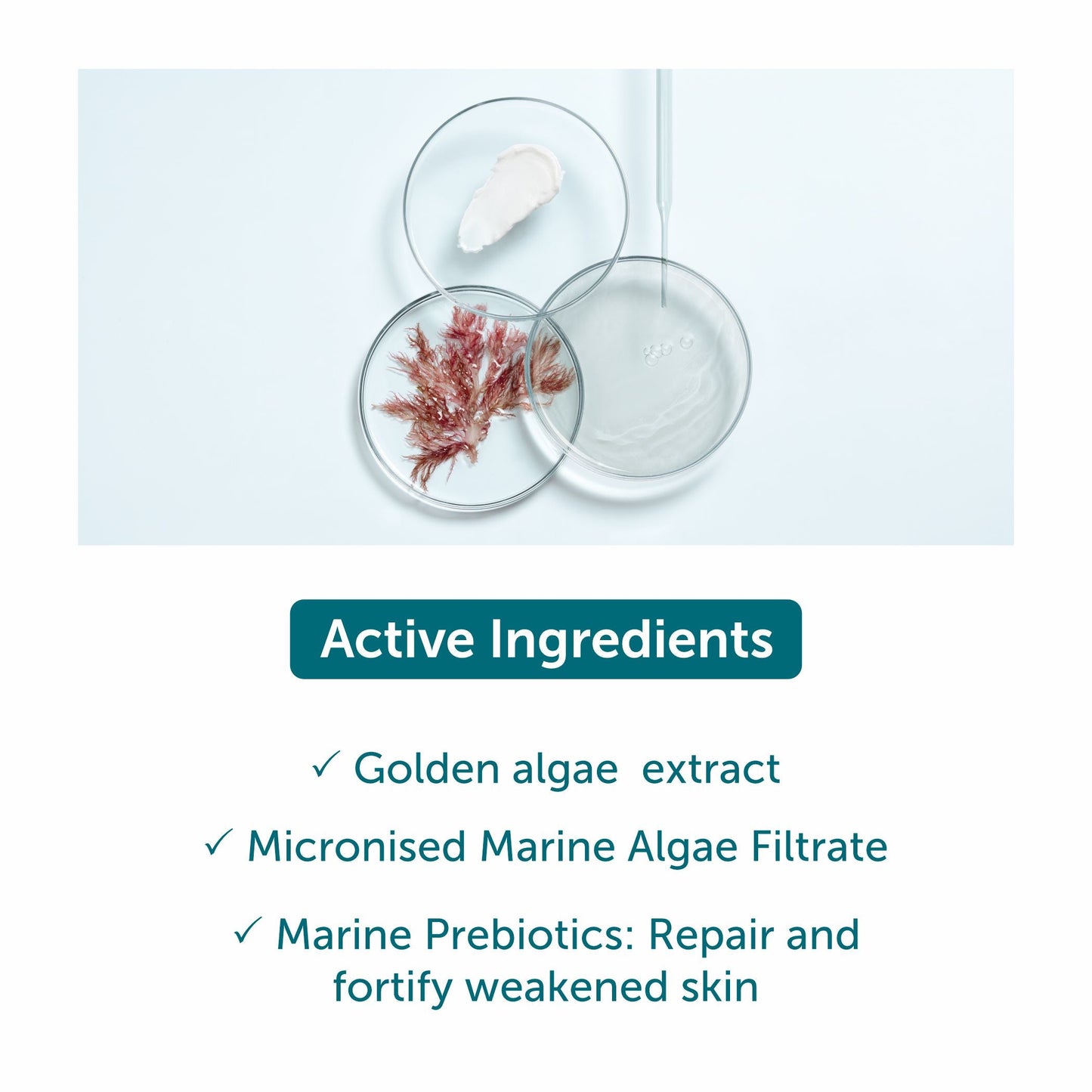 Soothing  Repairing Mask - 50ml